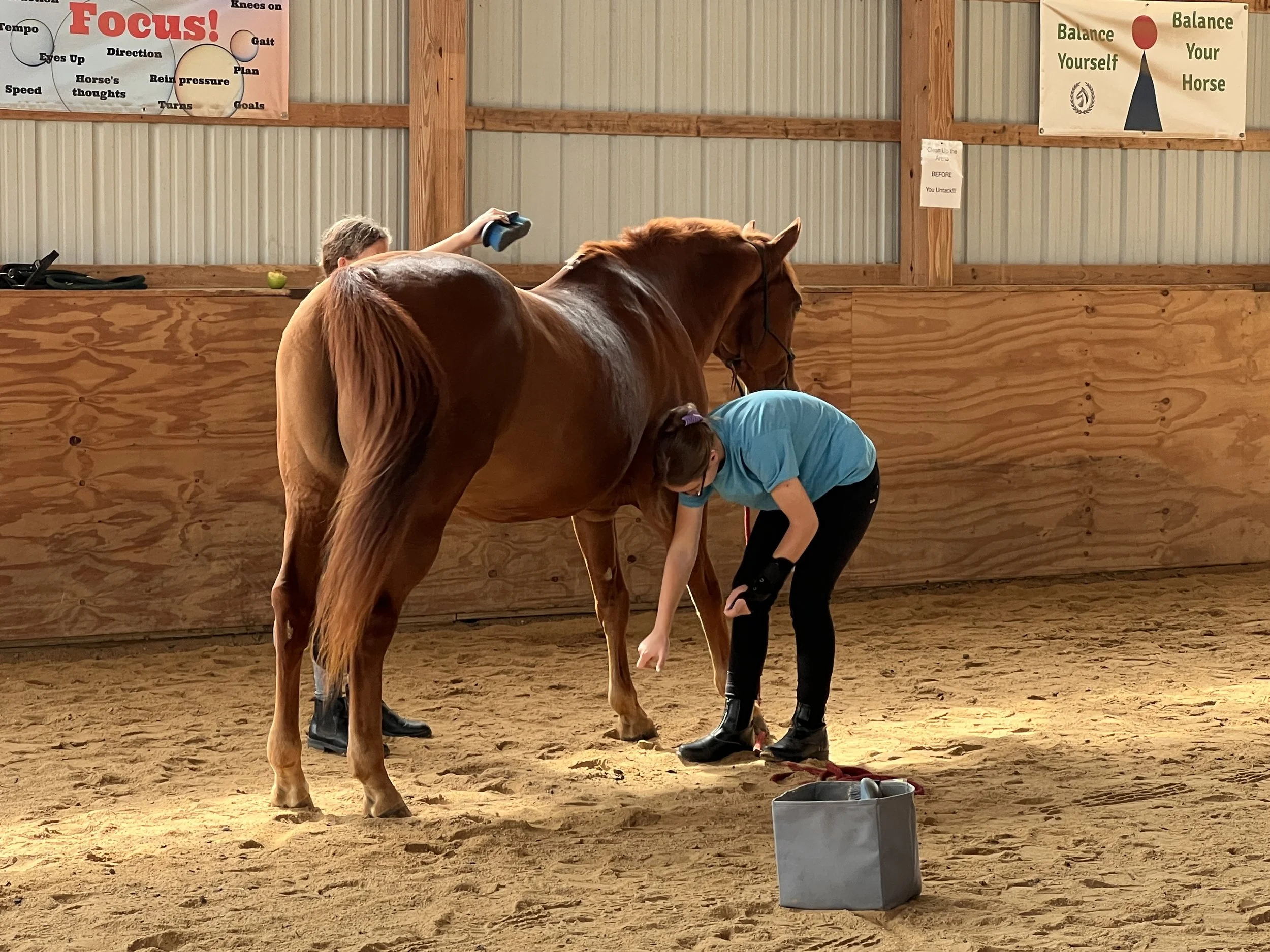 returning lesson.JPG