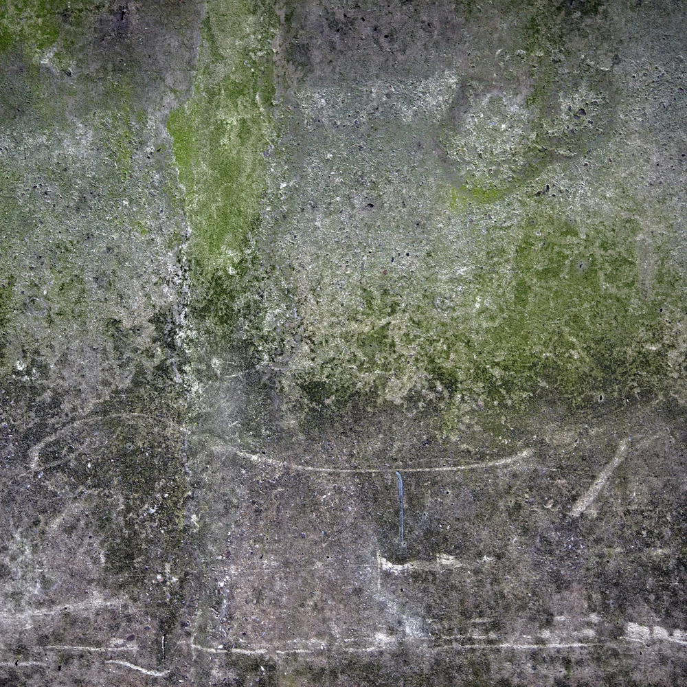 Surface II , 2014