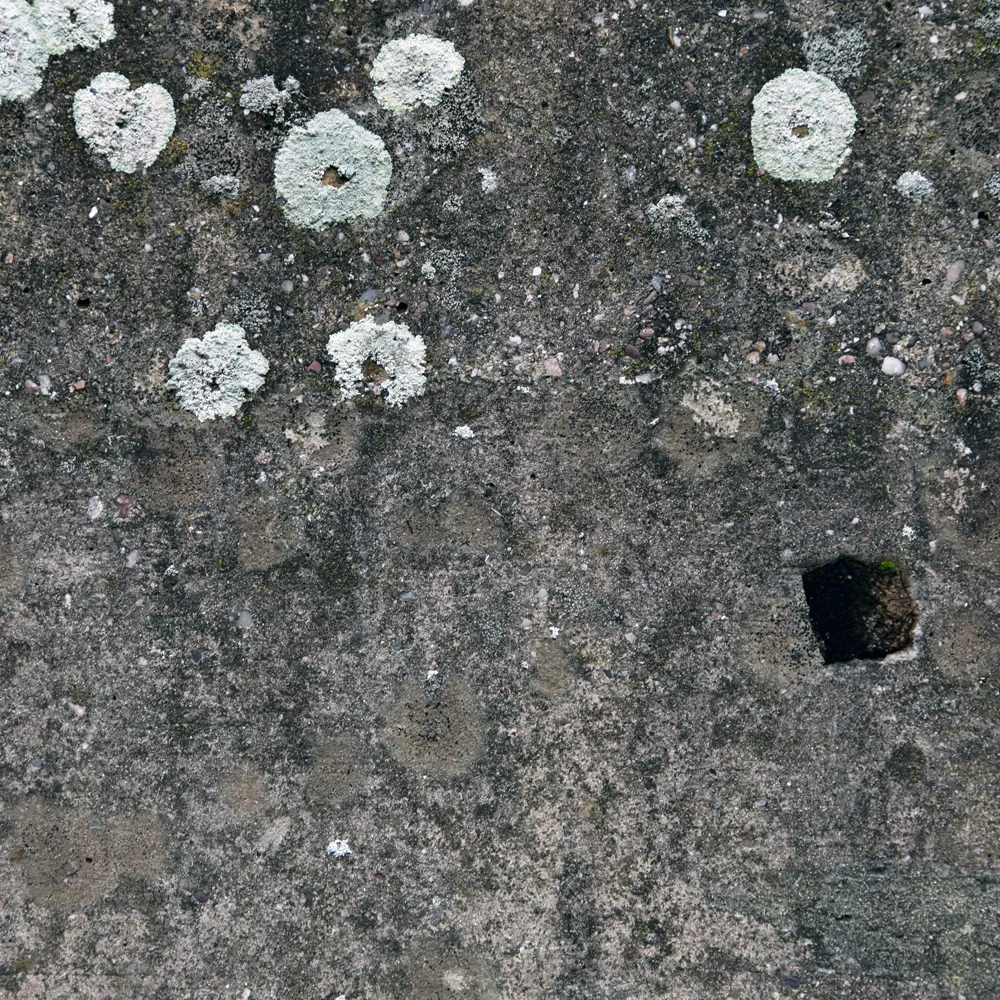 Surface II , 2014