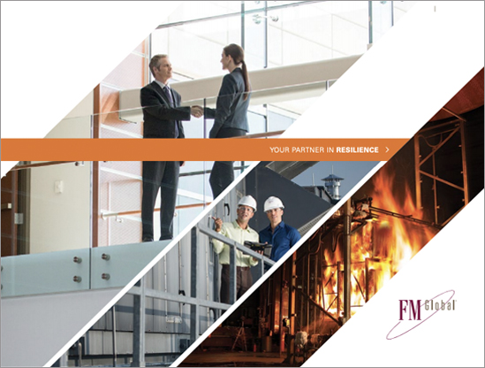 FM Global Interactive Capabilities