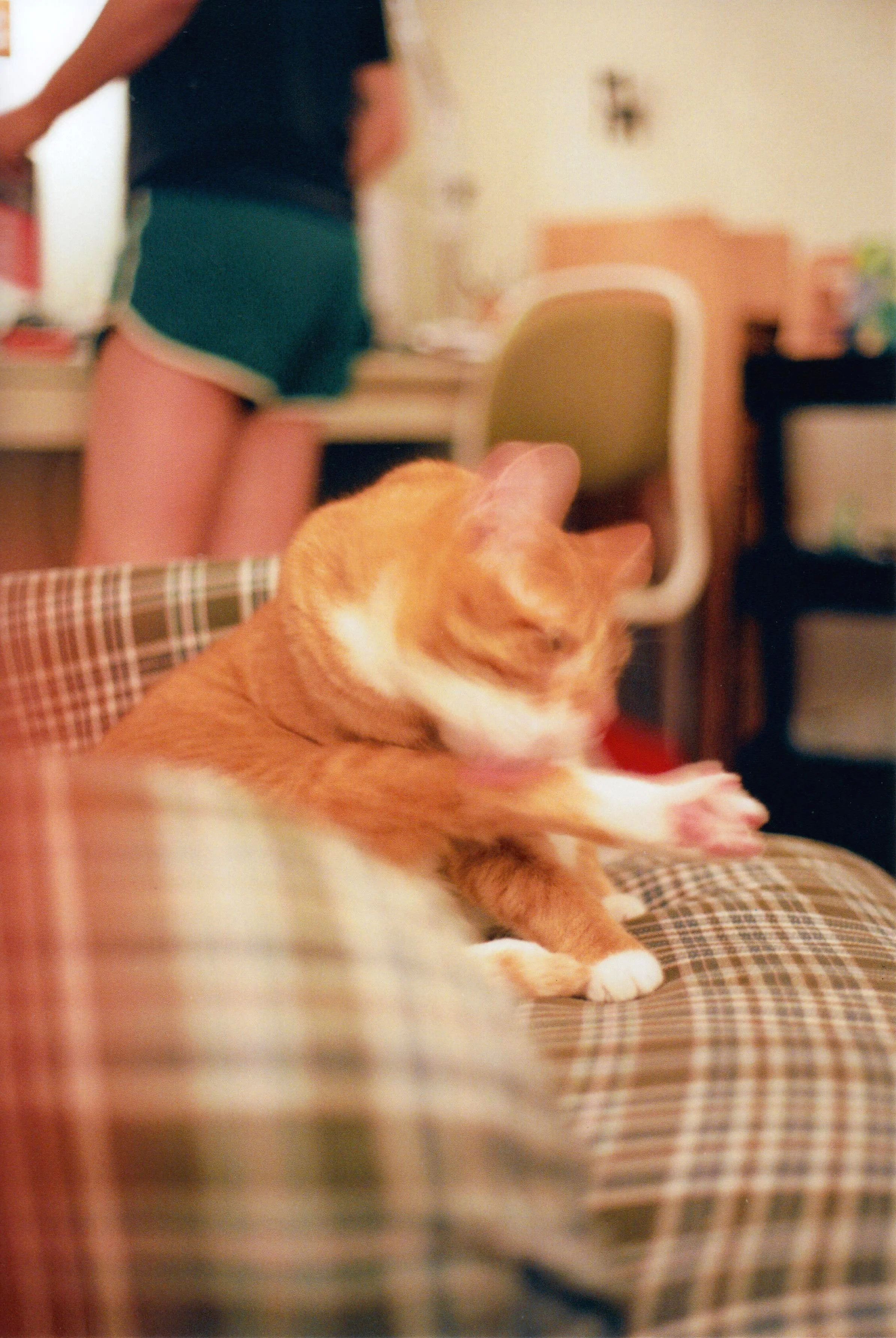 feet licker edit 1.jpg