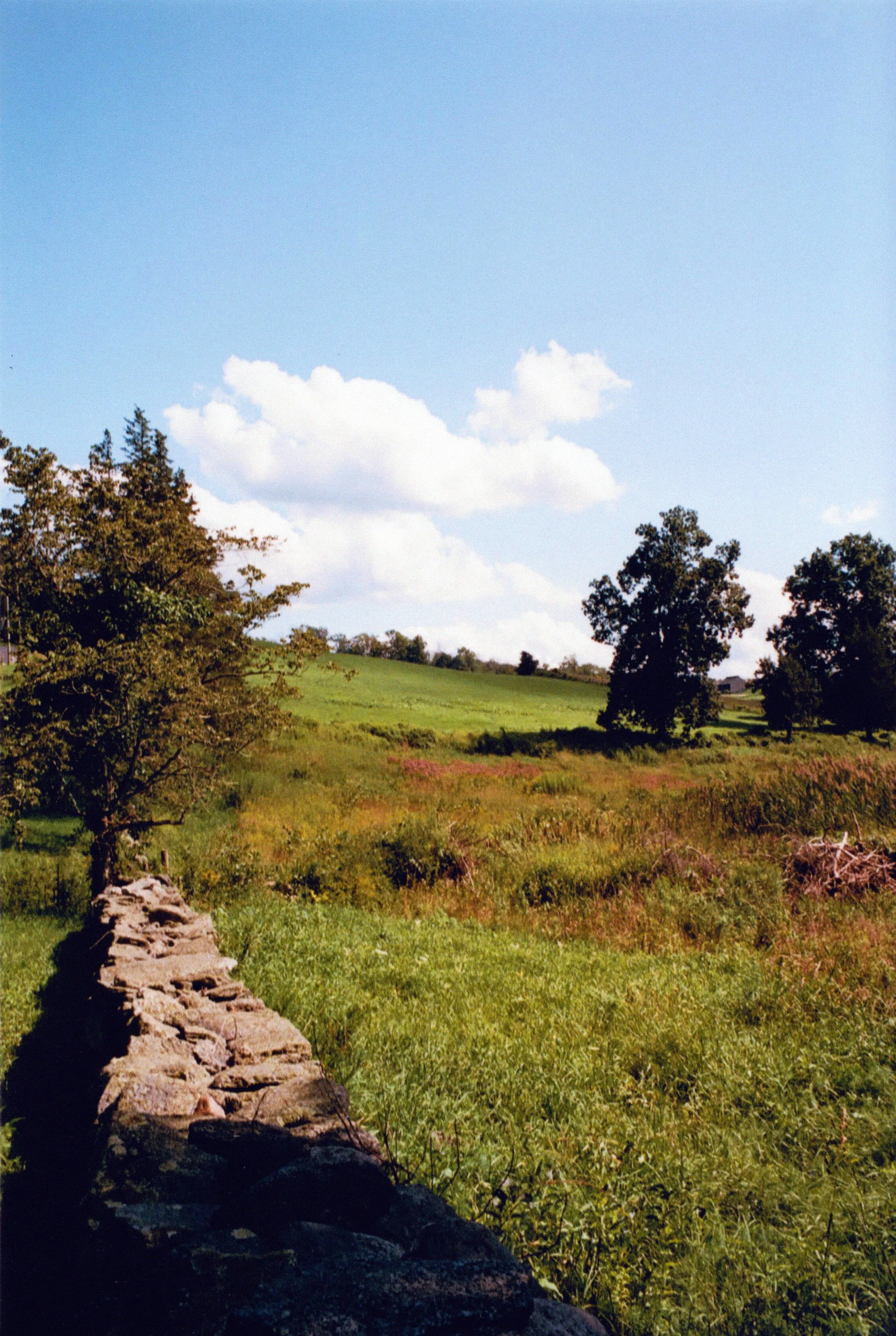 landscape edit 1 1.jpg