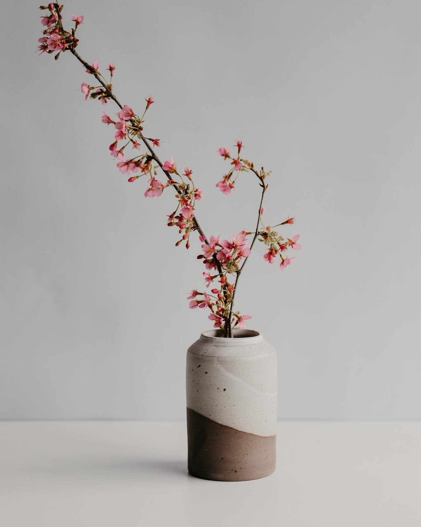 Spring is here&hellip; Hope you are able to catch some rays of sun, wherever you are. 

Seen here: a cherry blossom branch in a vase made of all clay recycled scraps: red, speckled, grey and black stoneware. The piece is then half dipped in matte whi
