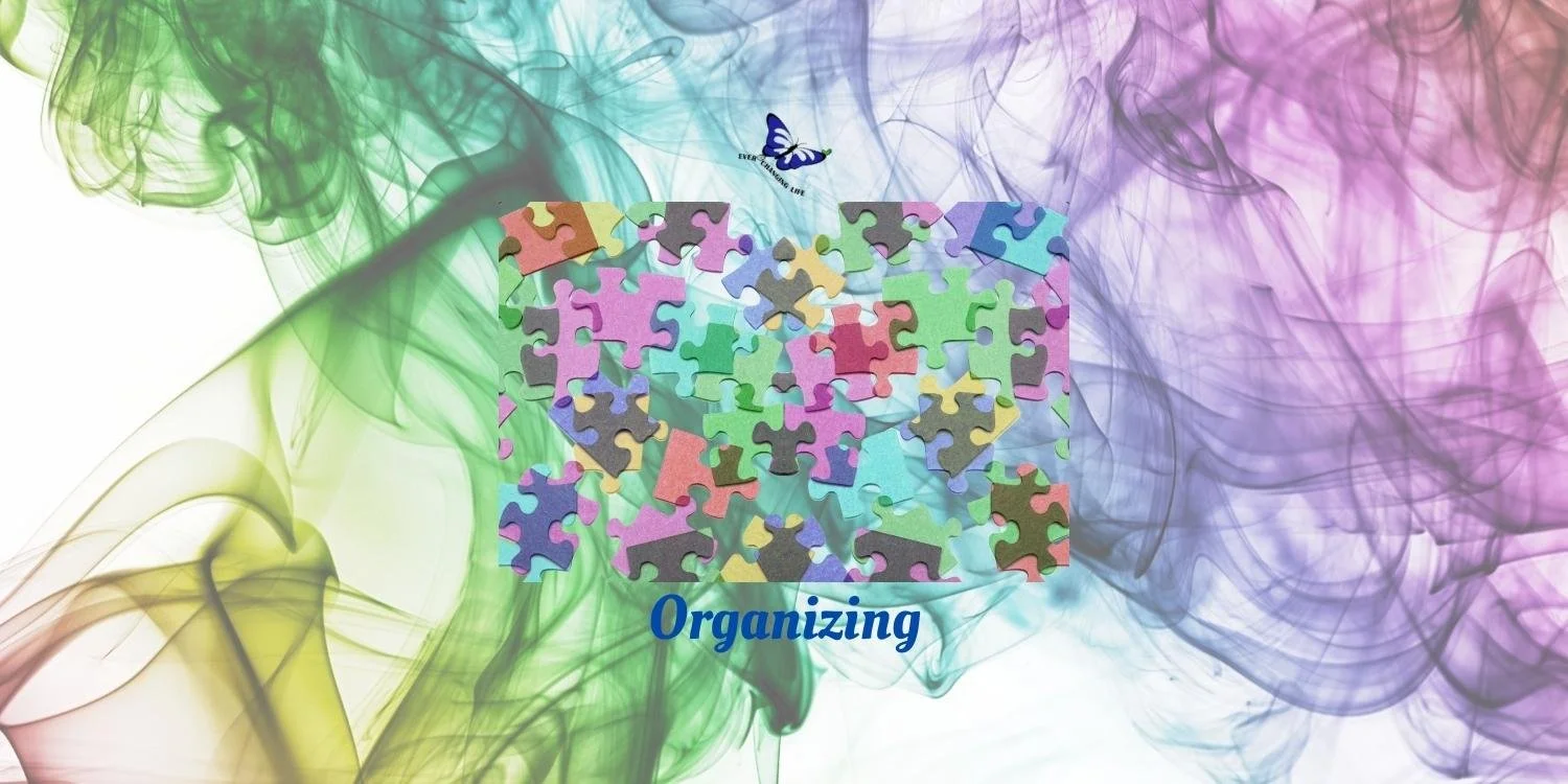 Website Organizing Page Banner.jpg