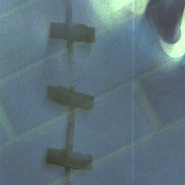 ezgif-3-bvbv.gif