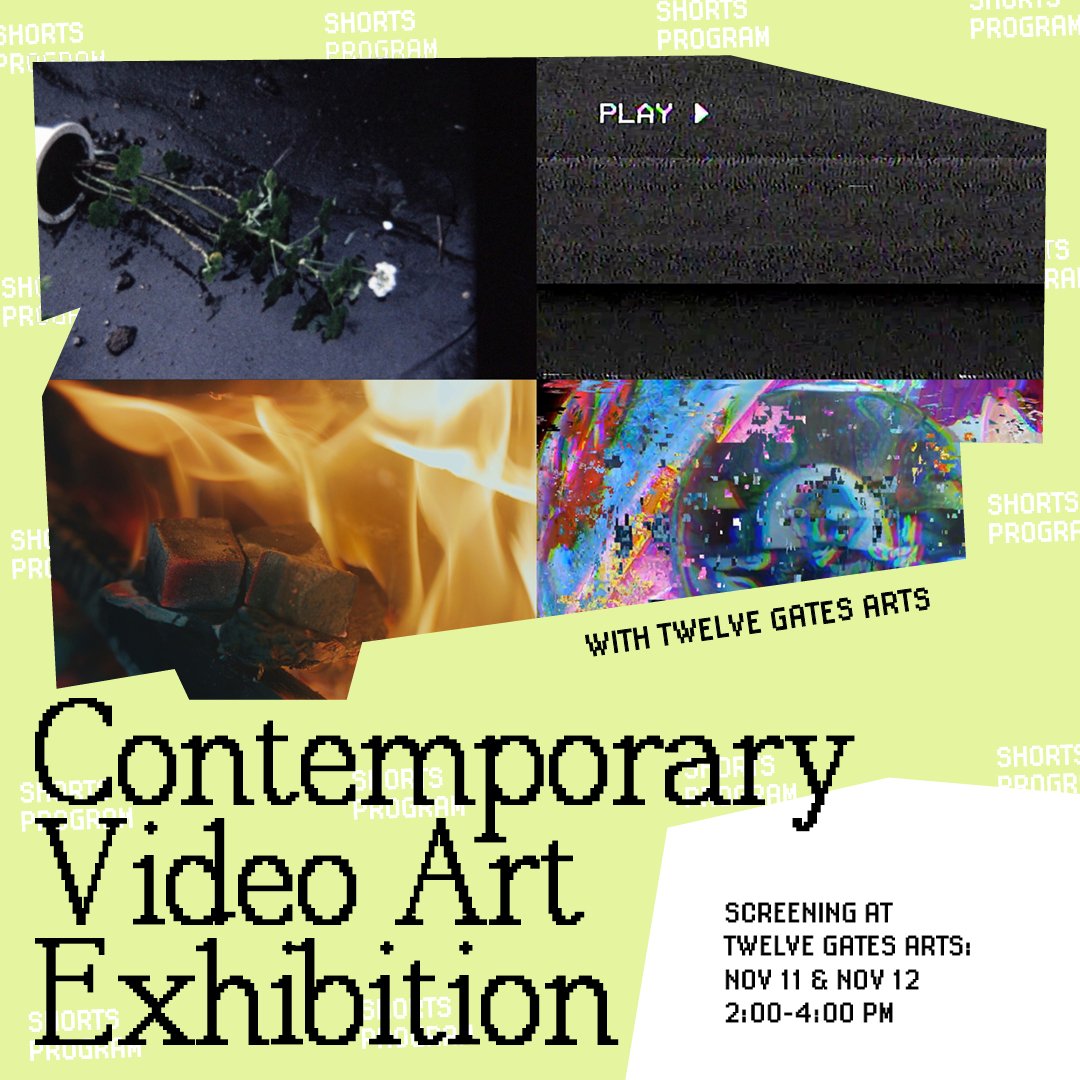 5th Annual Experimental Contemporary Video Art Exhibition