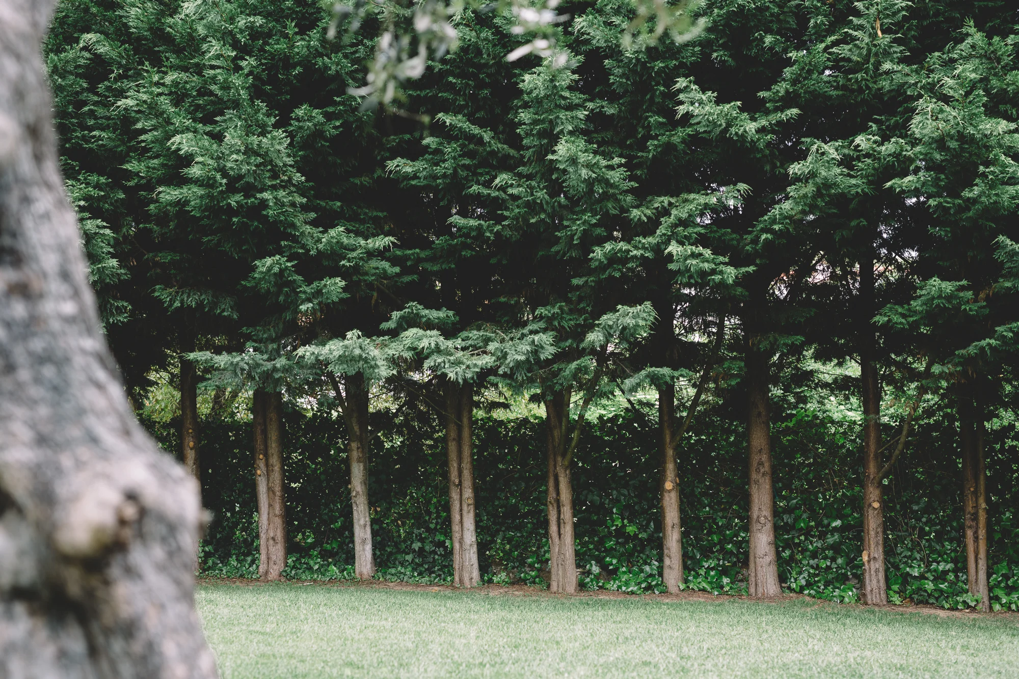 Quinta-Frade-Eventos-Casamentos-Lisboa