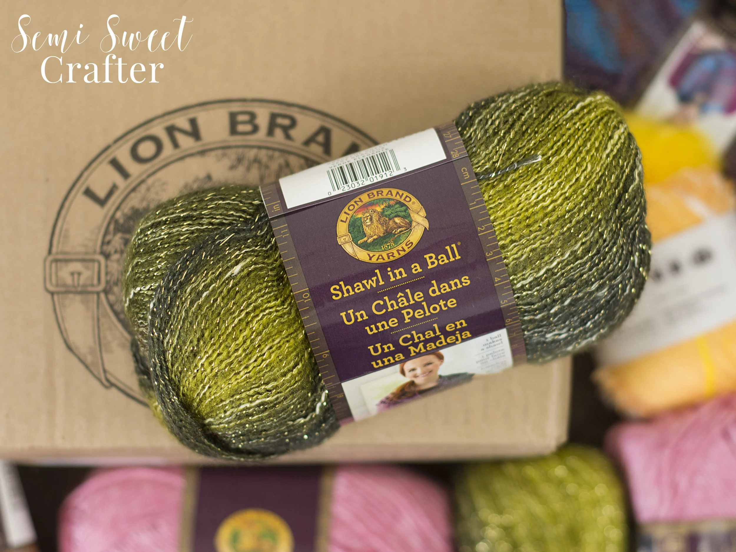 Lion Brand Yarn Mystery Box Unboxing