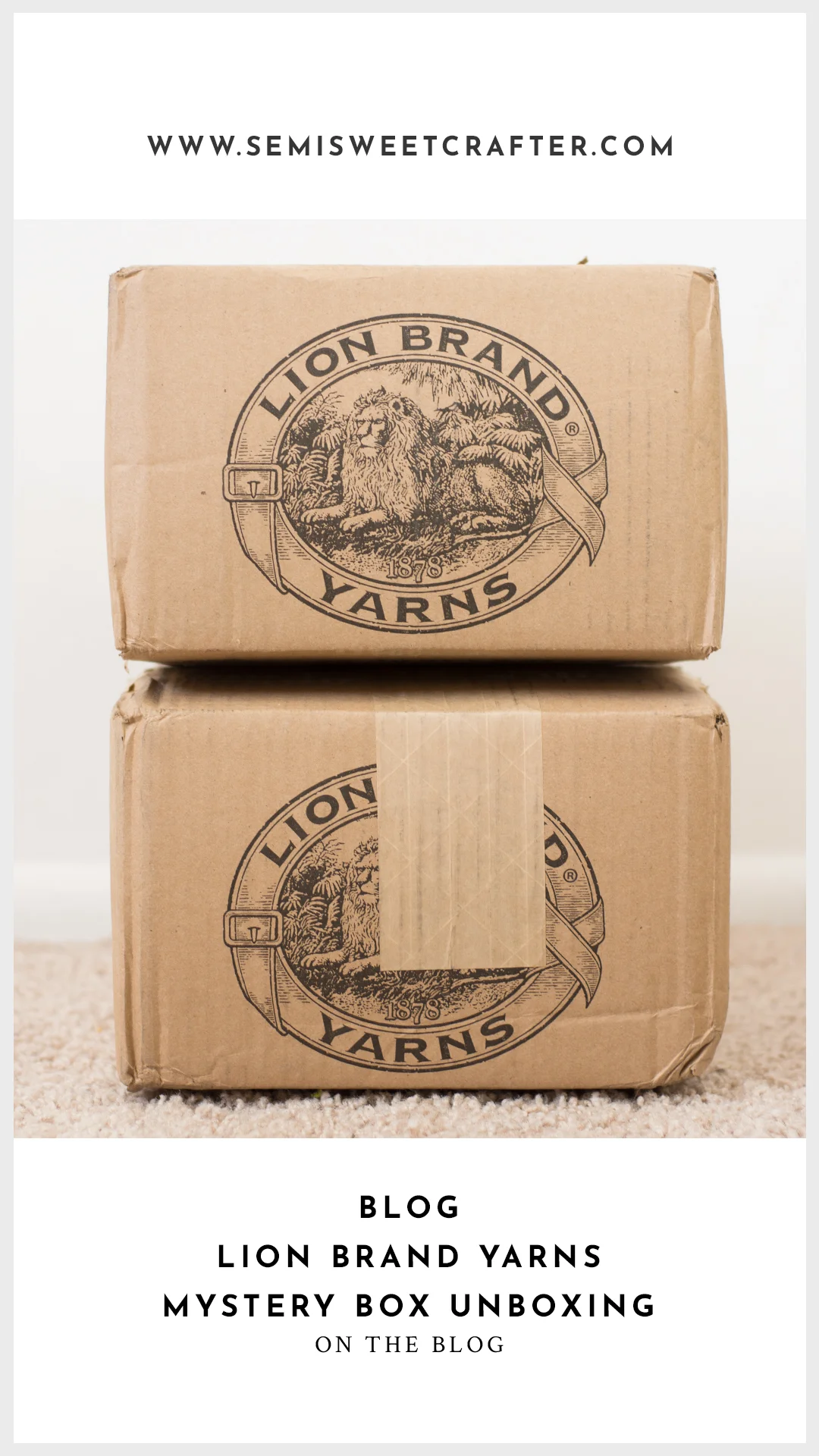 Lion Brand Mystery Box Unboxing