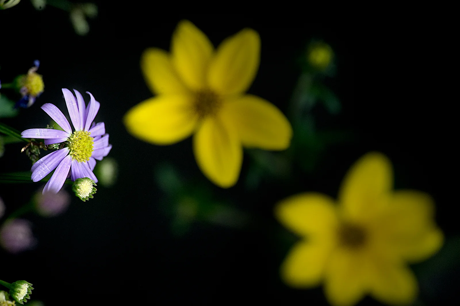 _DSC5267 st2.jpg
