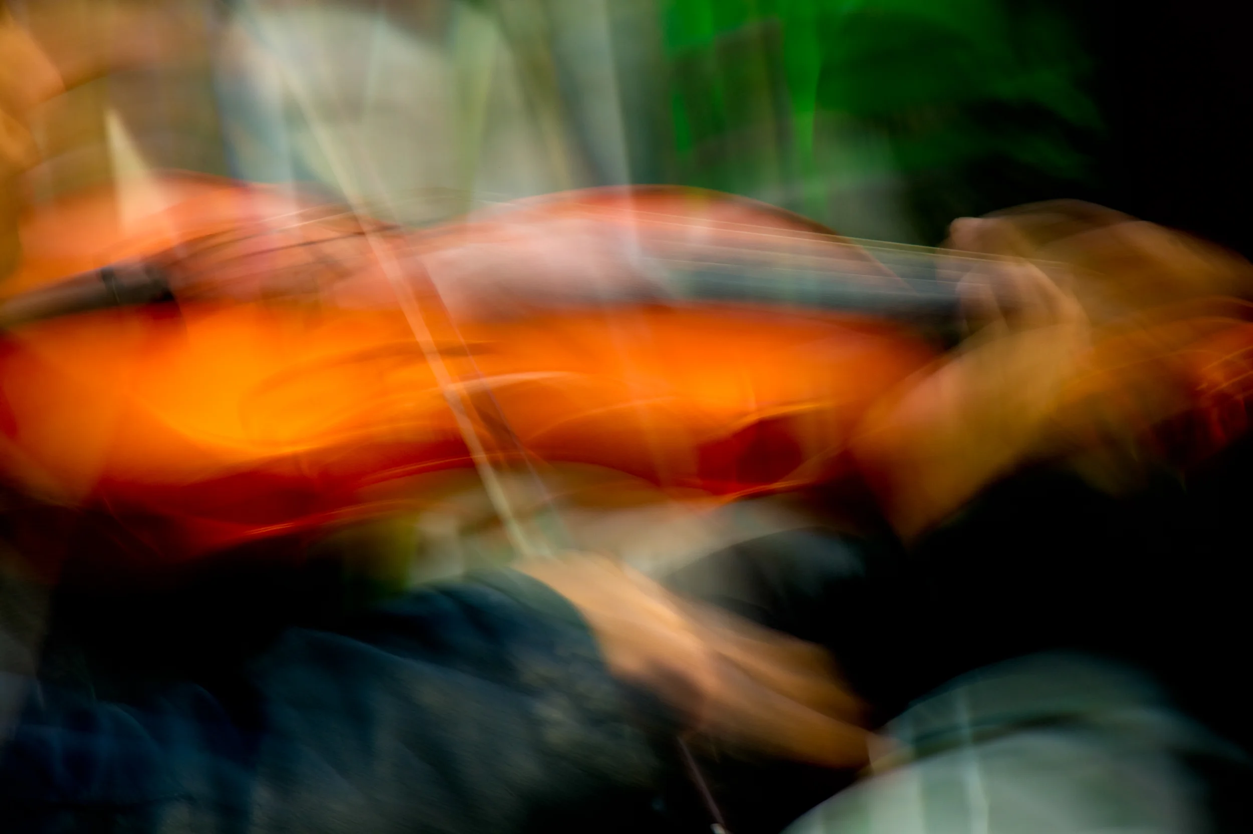 _DSC5689 violin dusted step1.jpg