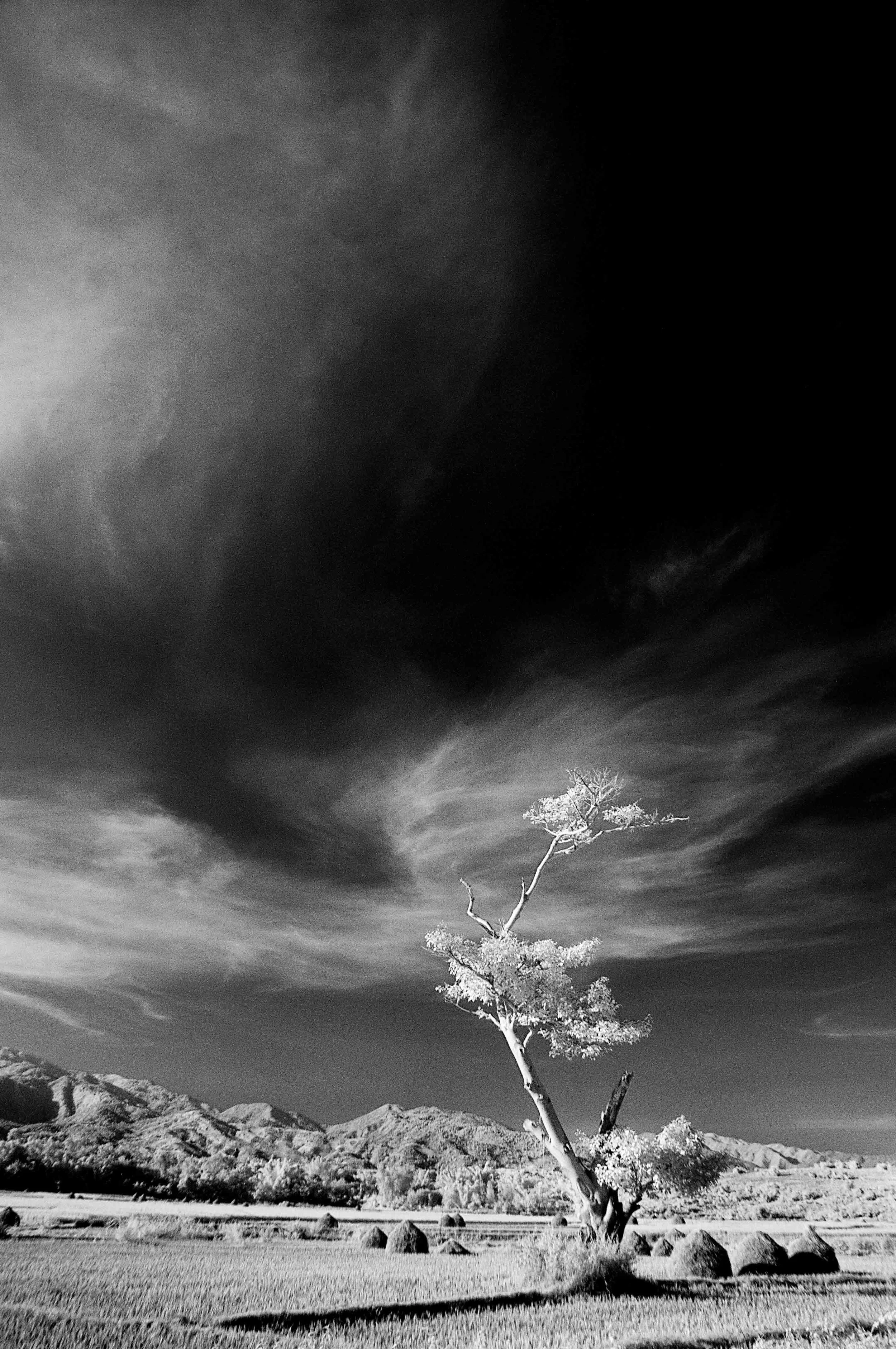 _DSC5681-Edit.jpg