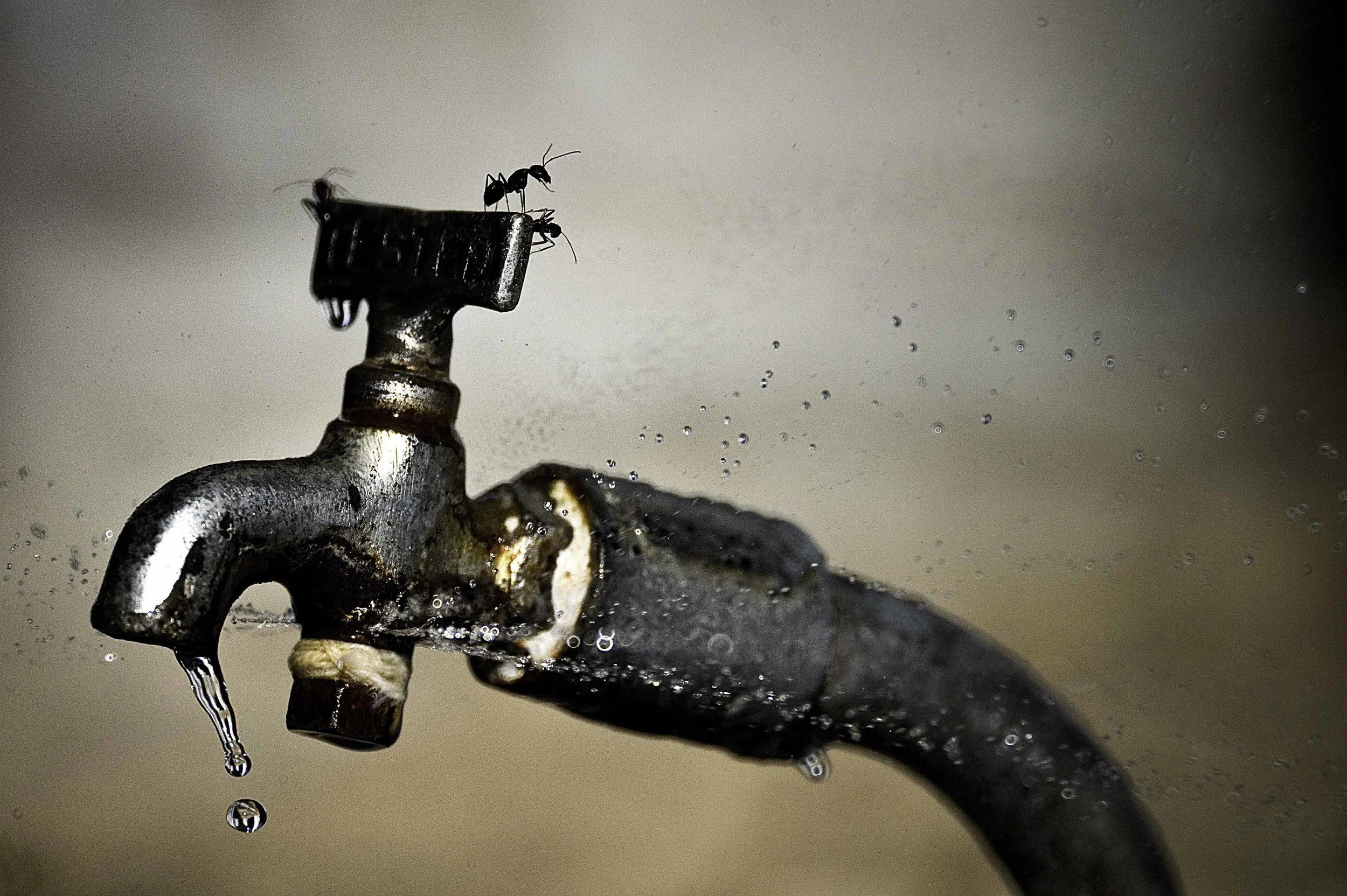 faucet_ARM3478.jpg