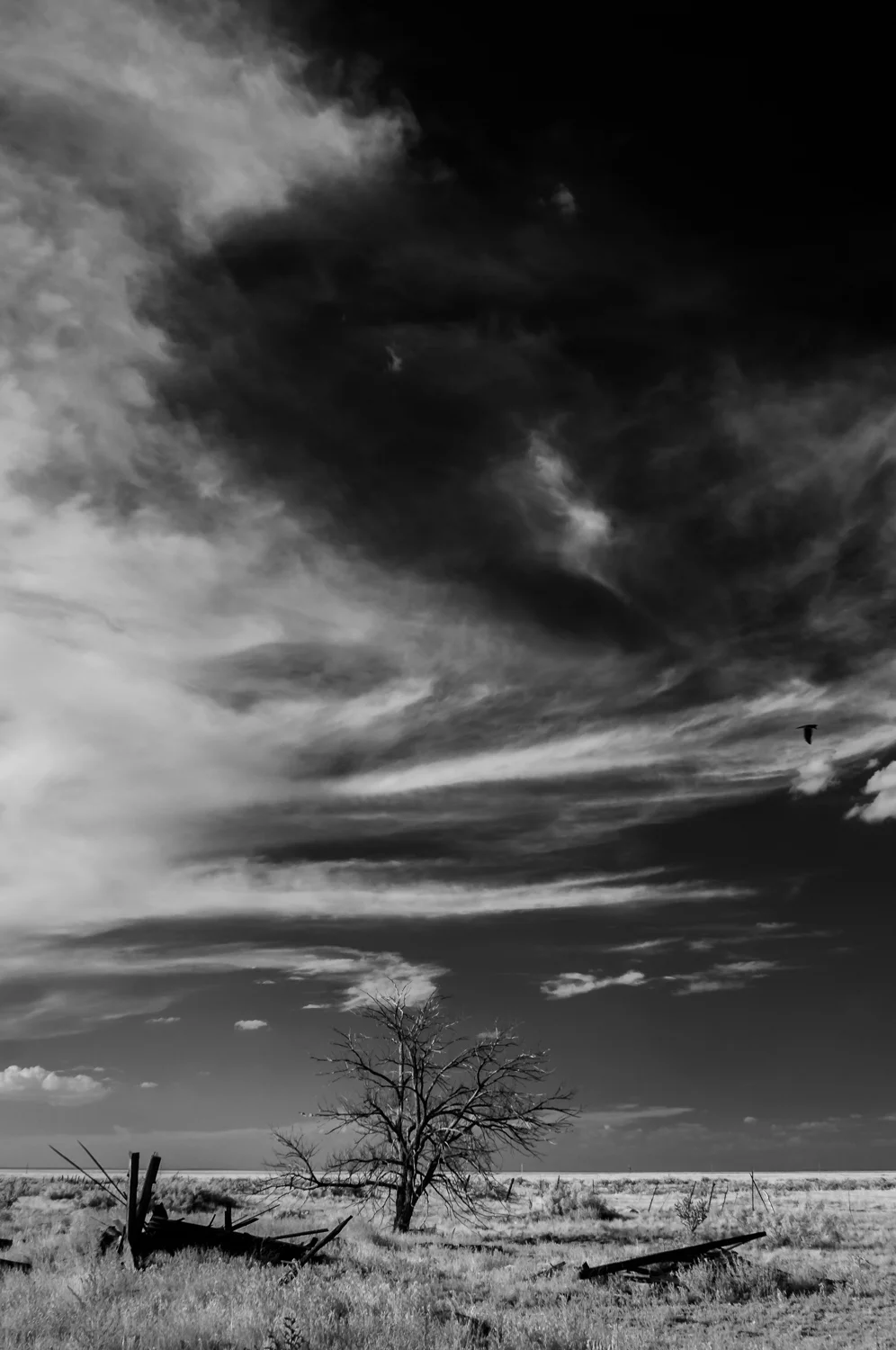 _MDR2831_2.jpg