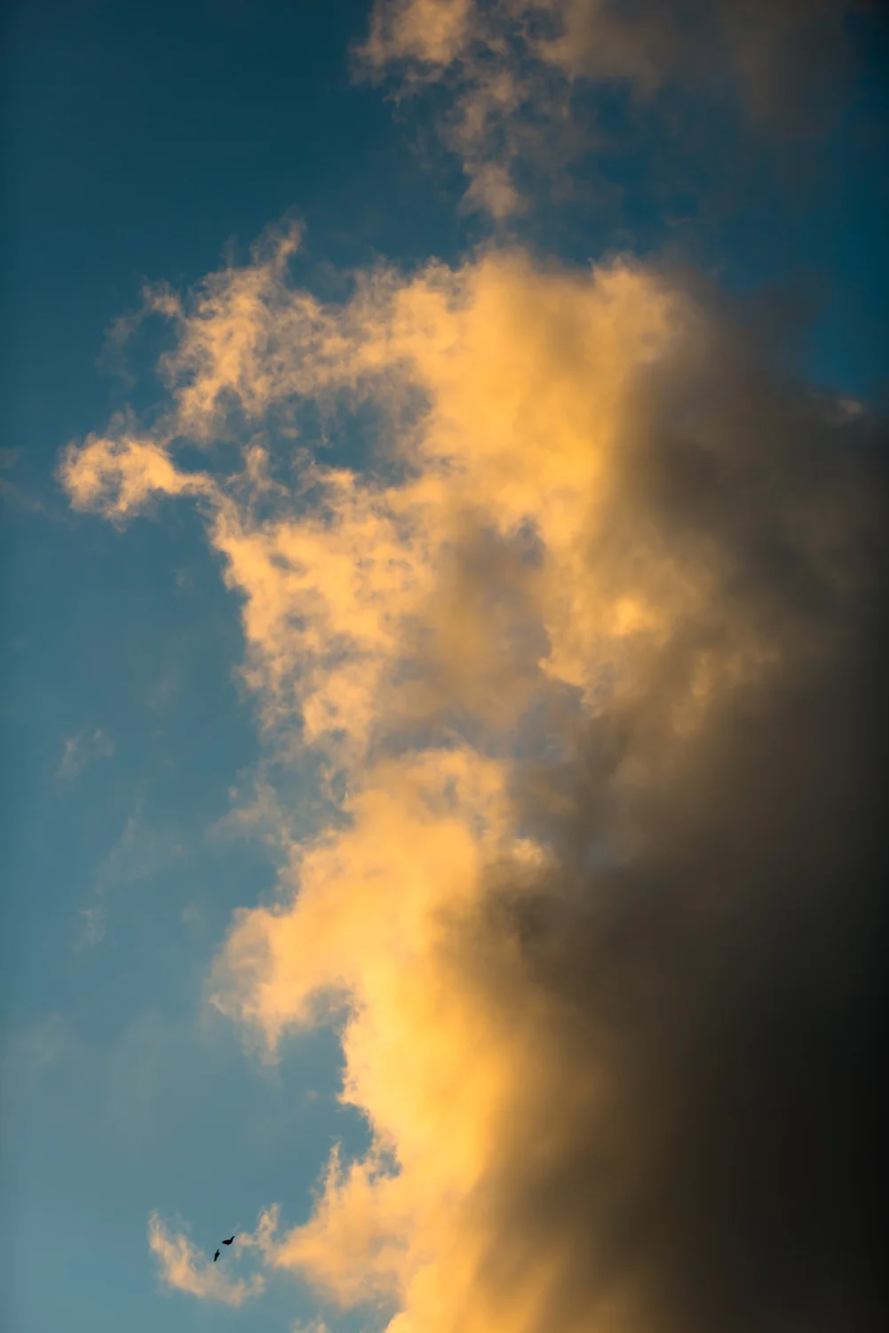 DSC_0666.jpg