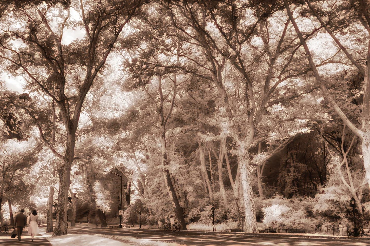 _ARI3982-Edit-Edit.jpg