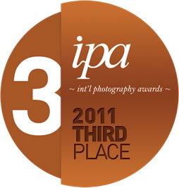 IPA 20113rdPlace-Bronze.jpg