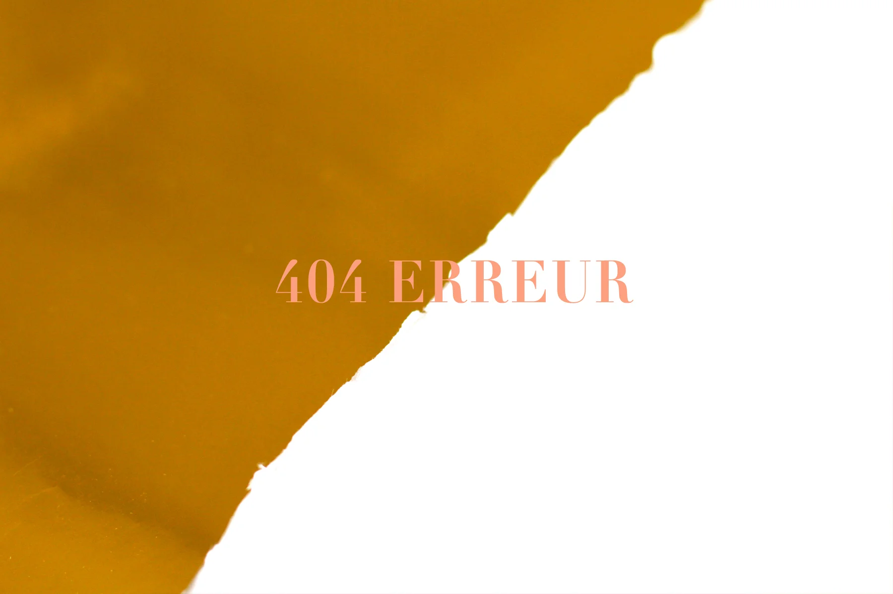 404ERREUR.jpg
