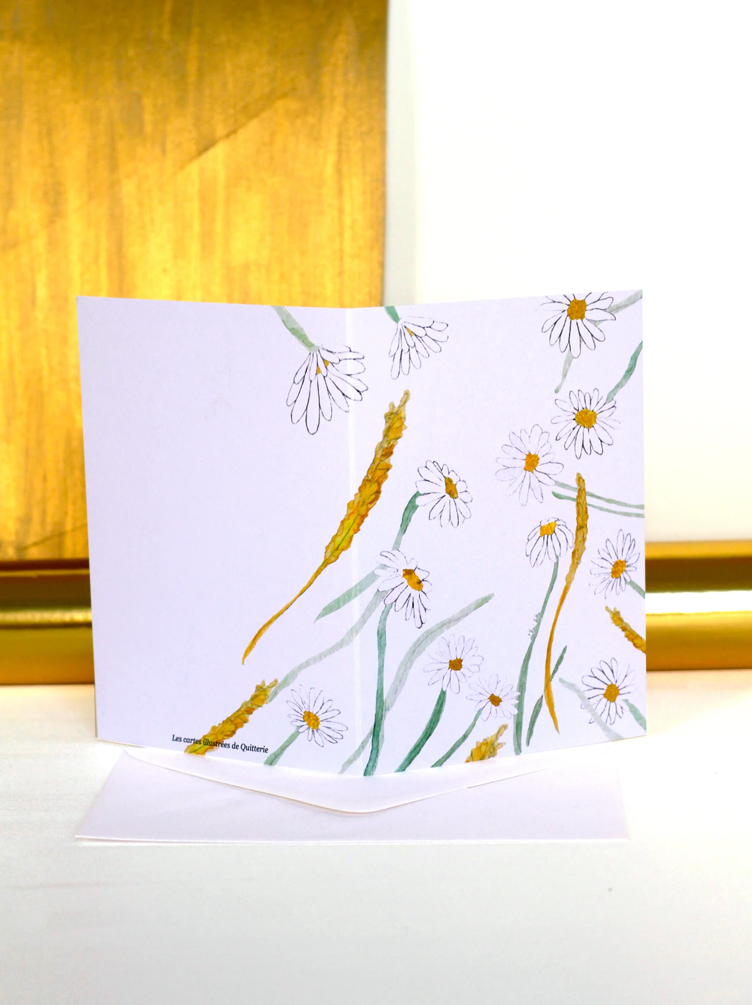 NATURE-marguerites2.jpg