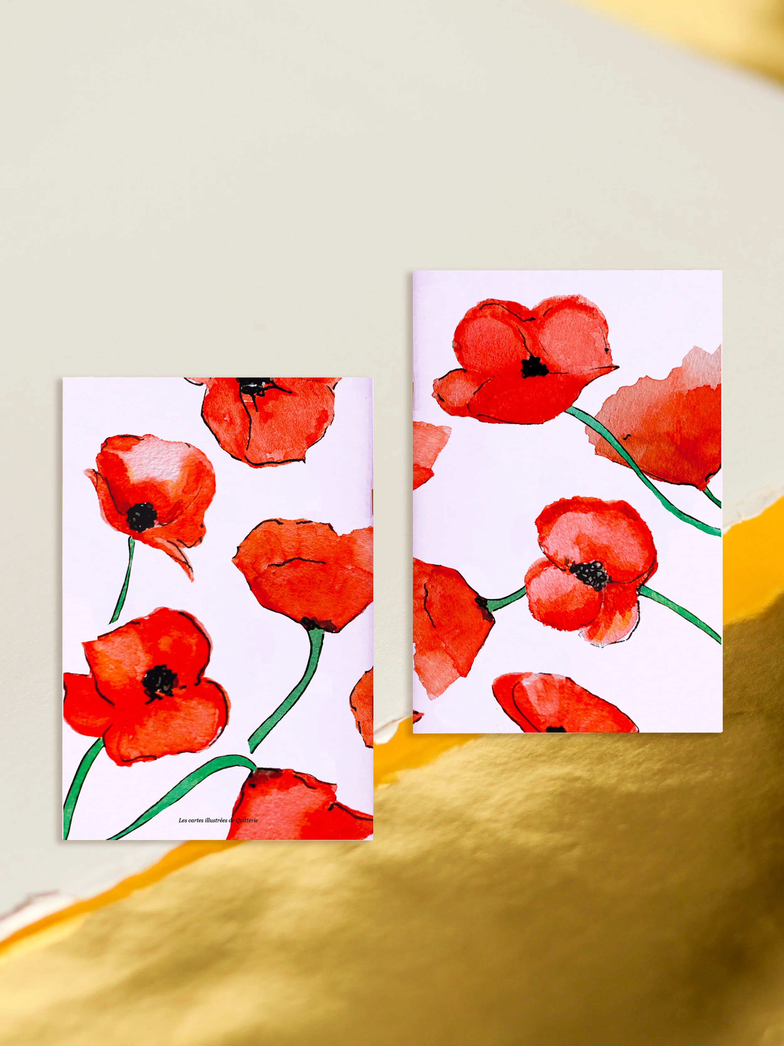 e.carnetchampdecoquelicots.jpg