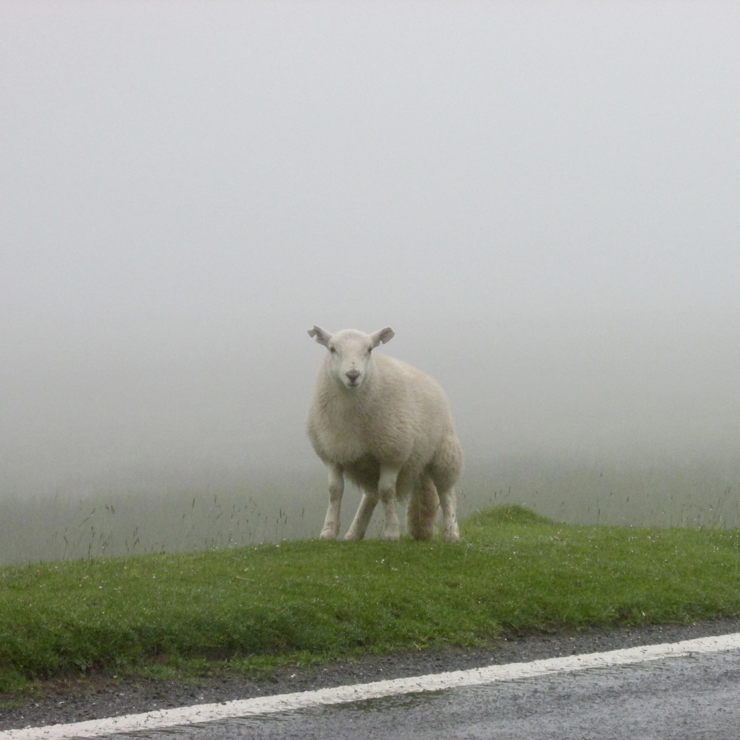 Ireland, week 2