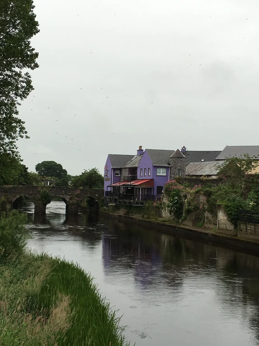 A back-door view of Trim on the river boyne, Co. Meath