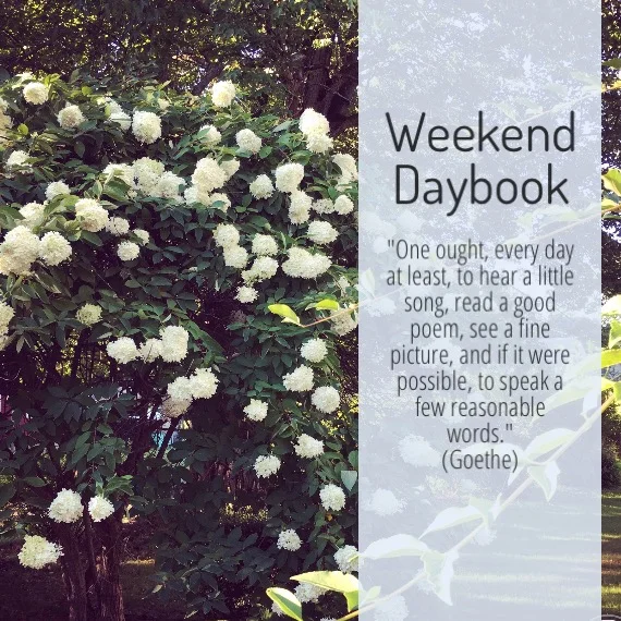 weekend-daybook-goethe-quote.jpg