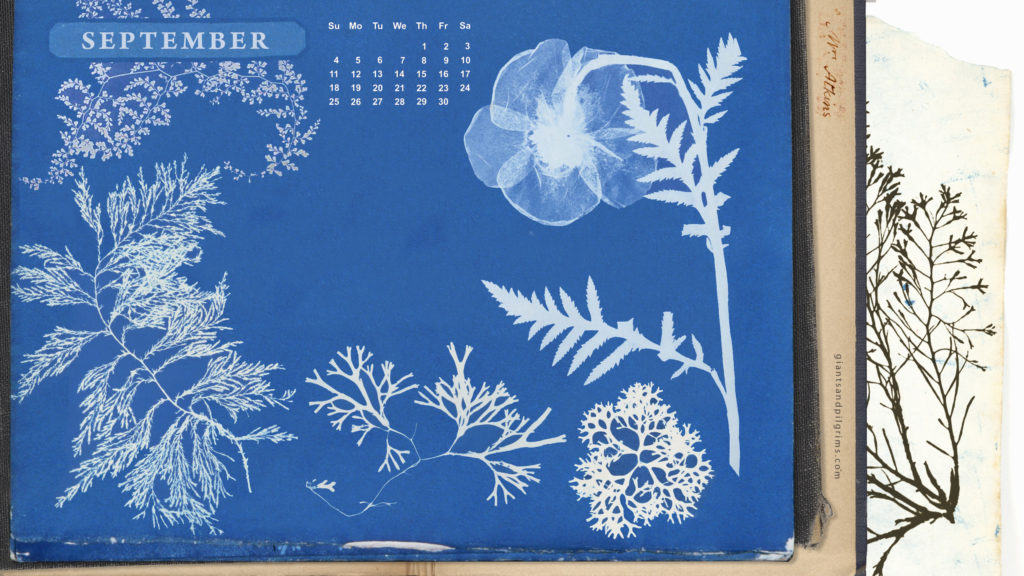 September Free Calendar Desktop and iPhone Wallpaper from Giants & Pilgrims blog