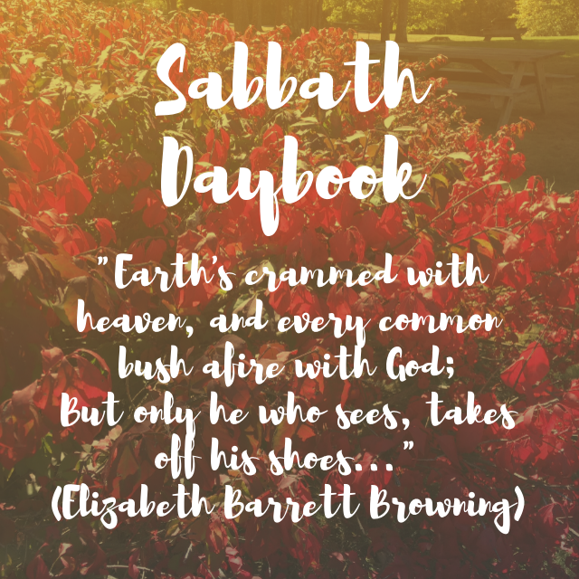 Sabbath Daybook: favorite children's book illustrations & other happy autumn things