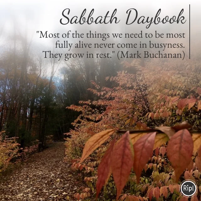 Sabbath Daybook: a good day for a ramble