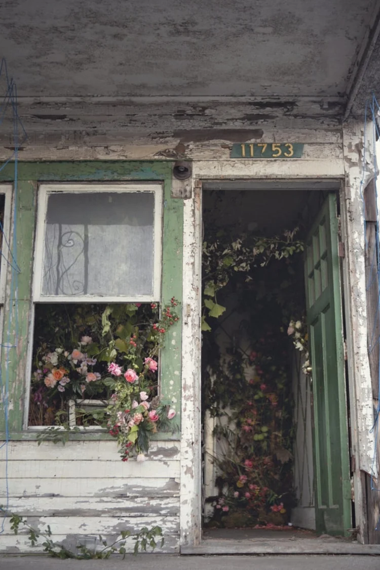 A Flower Farm Blooms From An Abandoned House in Detroit ( source )
