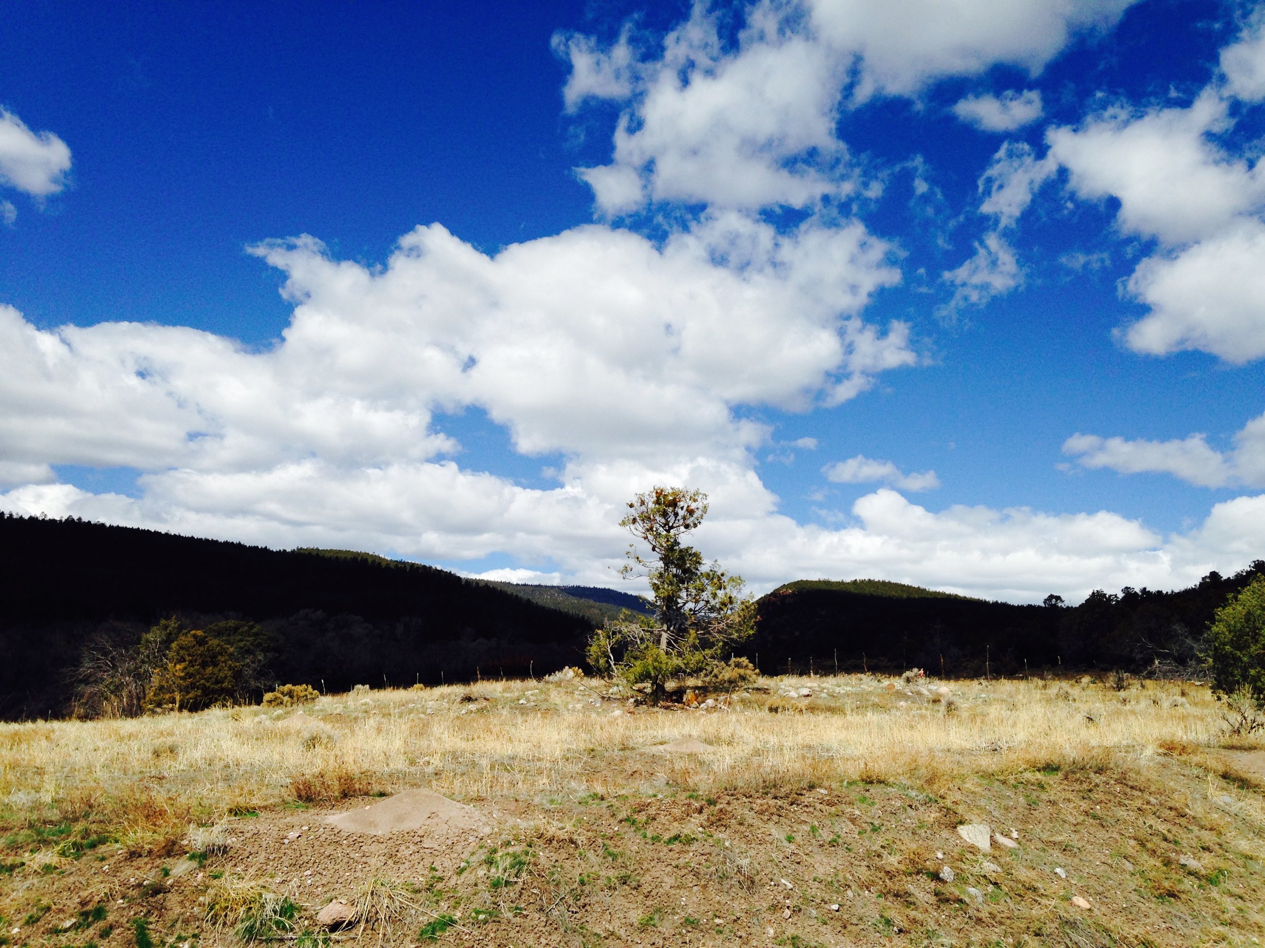 El Rito, NM