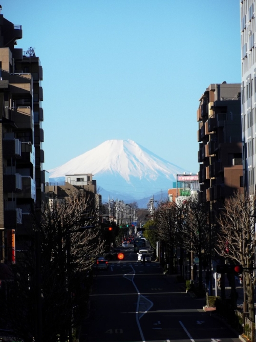 A typical view of Mt. Fuji from our bus. It hasn't lost its wonder!
