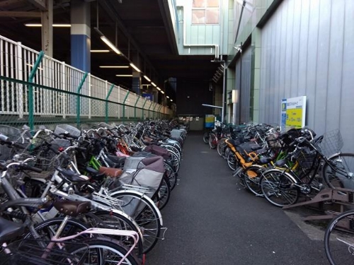 Only a fraction of the bicycles parked at our small train station.