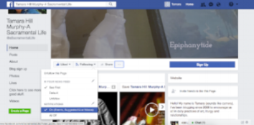 1. Go to the blog's Facebook page . 2. Click "Like" 3. Click "Following" 4. In the Following dropdown box, under the "Notifications" heading, click "On".