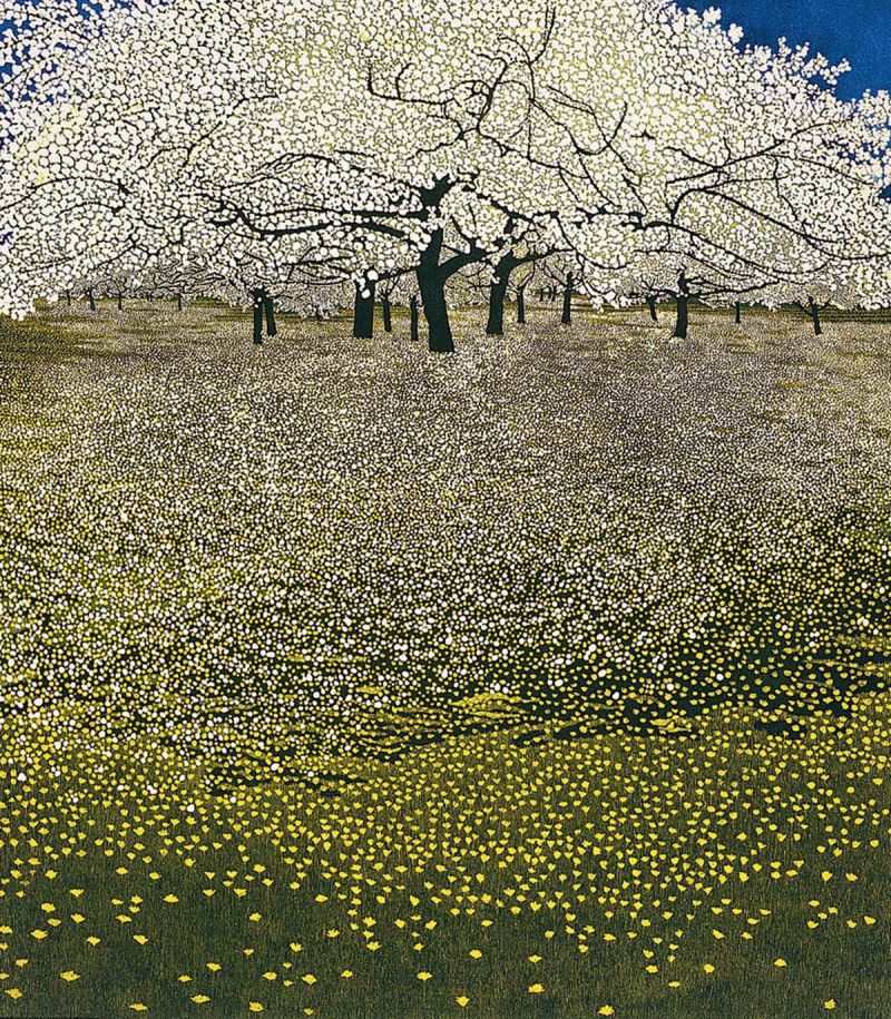 Blossom by Phil Greenwood ( source )