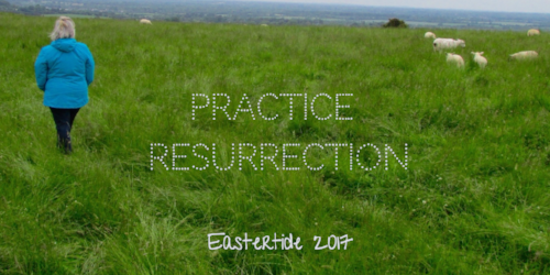 PR.FB banner.png