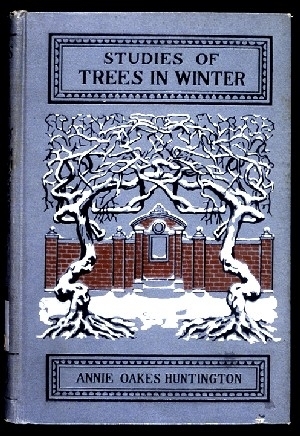 Studies of Trees in Winter