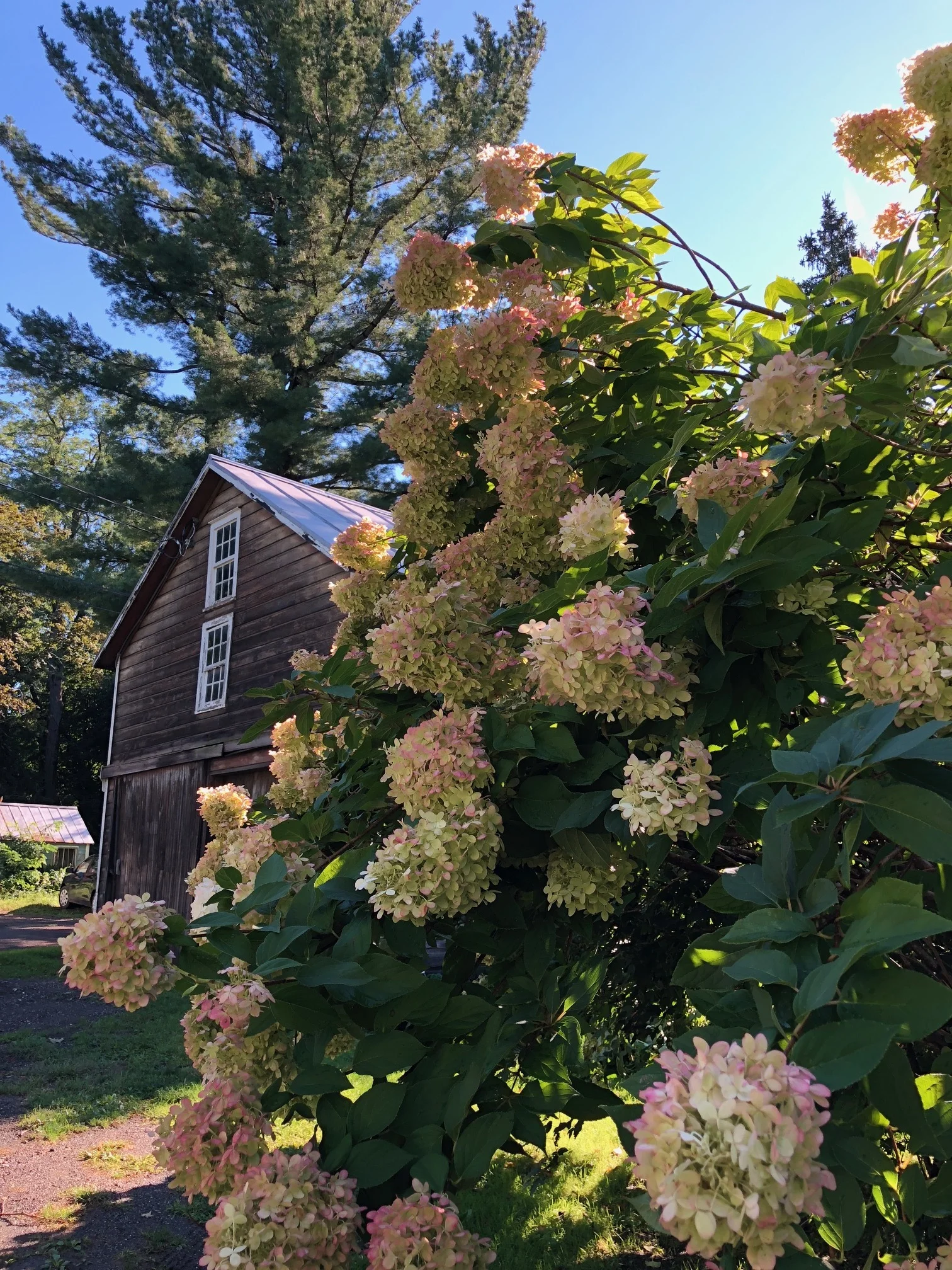 From a little road trip through The Berkshires with my husband this week.