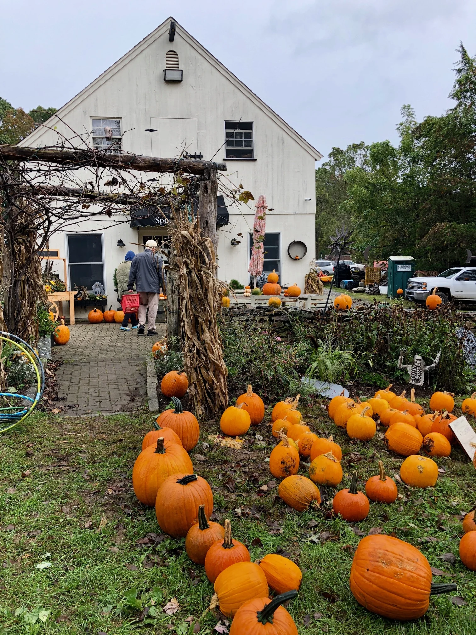 Pumpkin-picking with my parents, Sport Hill Farm, Easton, CT