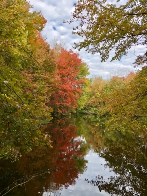 Twin Brooks Park, Trumbull, CT