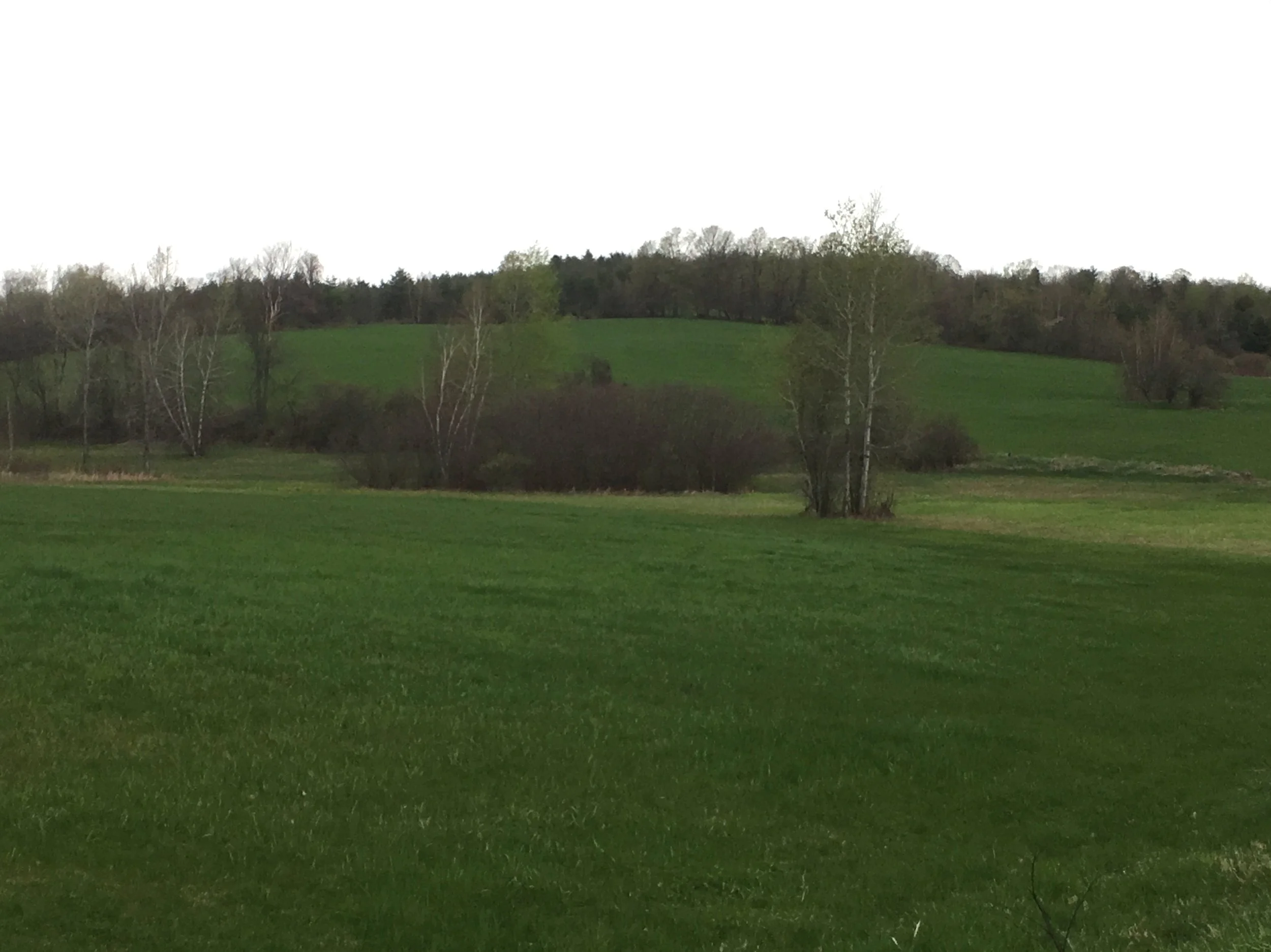 My wife’s very favorite of all of the fields.