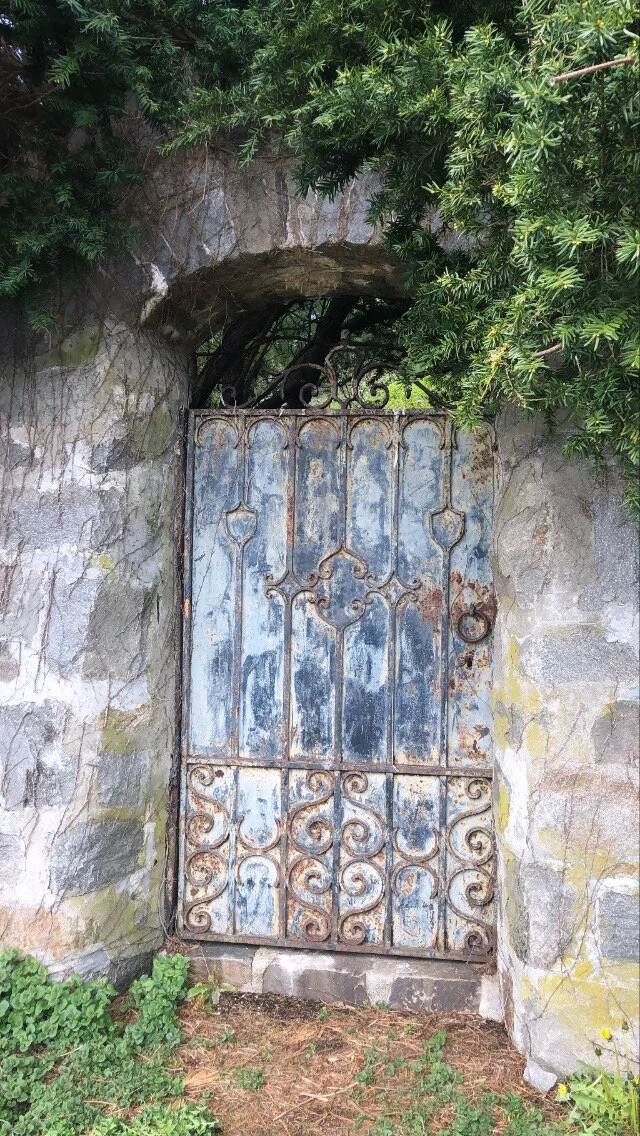 Weekend 3 for 3: Worship God, Love People, Enjoy Beauty, the prepositions in quarantine edition