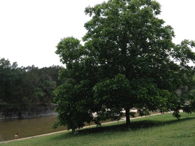 landing on our knees