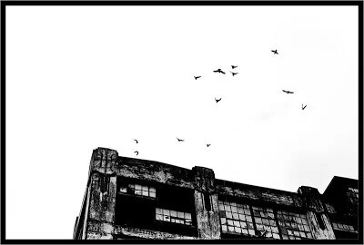 Wednesday is for Words (& sometimes pictures): Dillard, Shipman, Plath