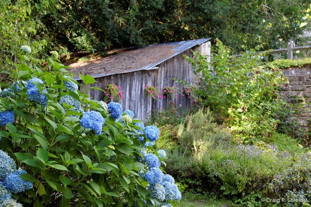 WALKING EPIPHANY in Paris & Albertville:  neighborhood notes from Andrea Shields