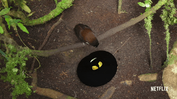 Resurrection Friday: Believe the unbelievable!