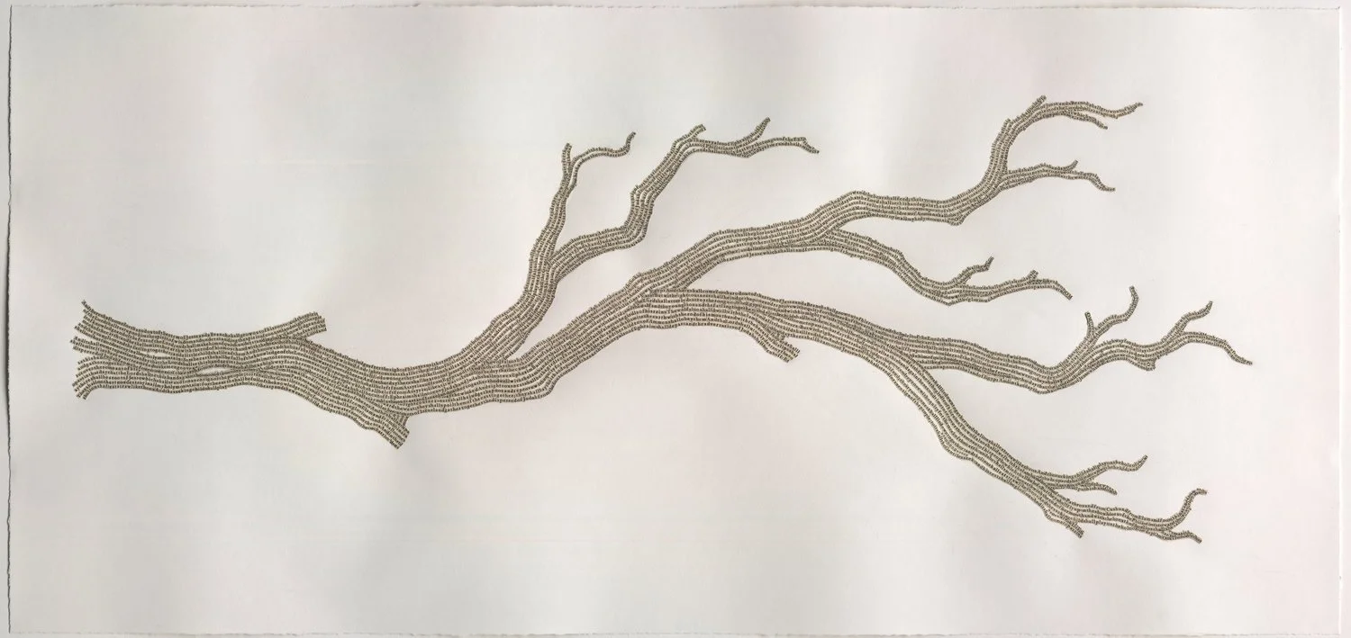 O Root of Jesse, Come! Advent Daybook 22