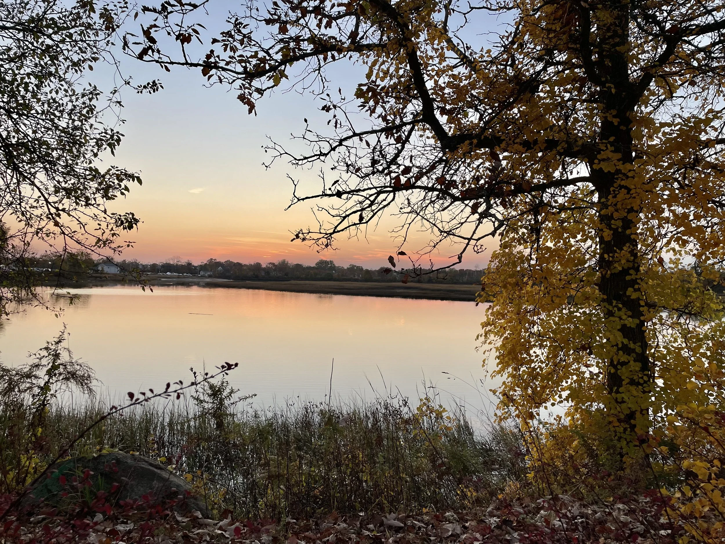 7 Things I Learned This Autumn