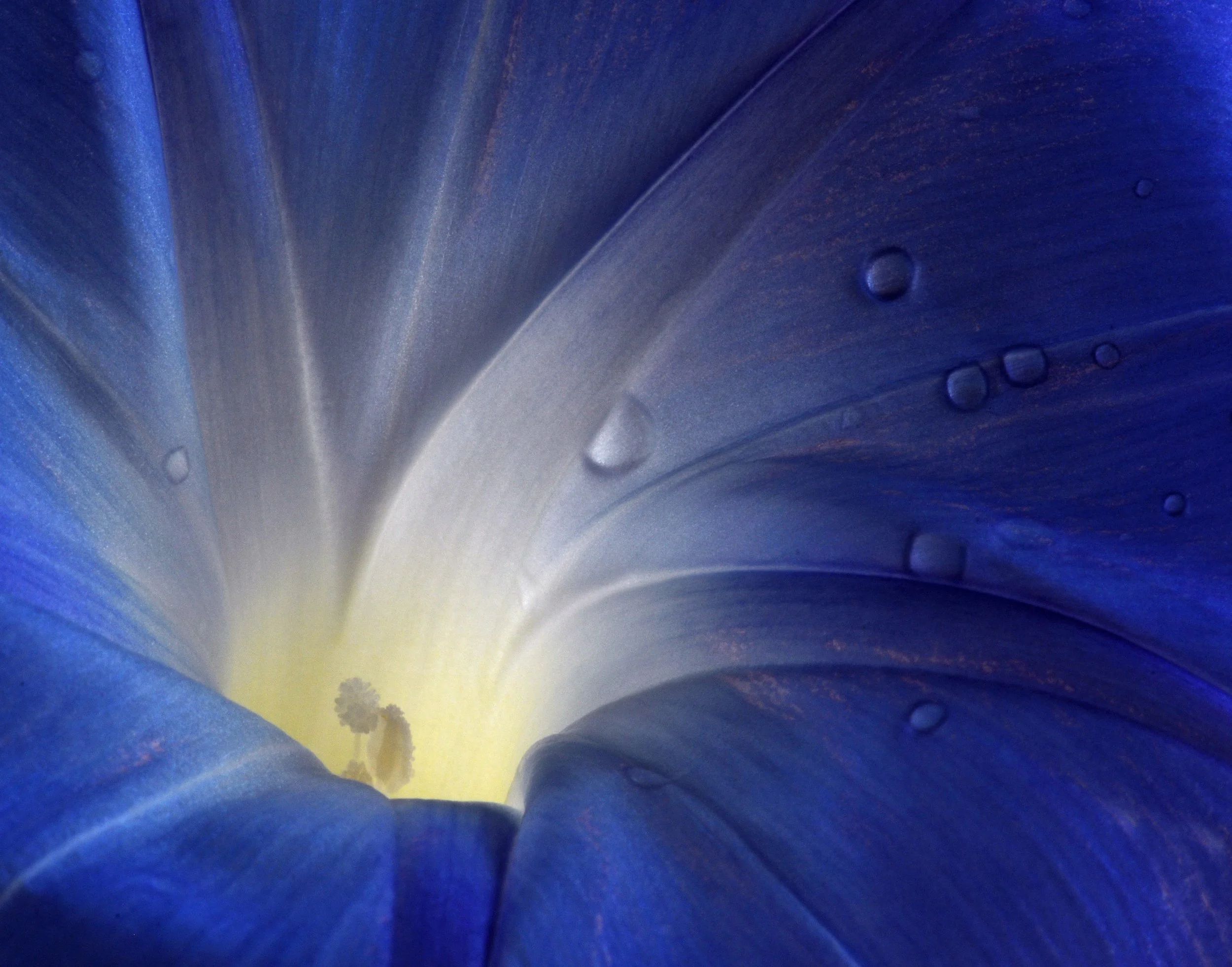 Endures Forever: Lent Daybook 32